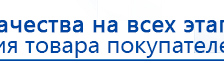 СКЭНАР-1-НТ (исполнение 01)  купить в Владикавказе, Аппараты Скэнар купить в Владикавказе, Скэнар официальный сайт - denasvertebra.ru